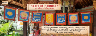 F0071 Heart of Hanuman